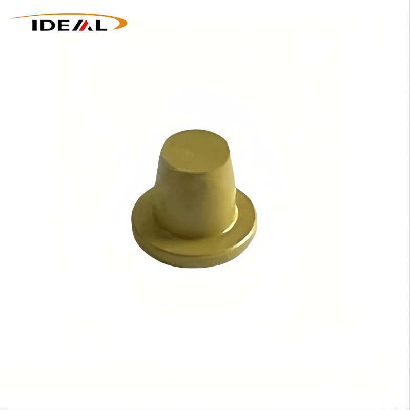 Torlon Sealing plugs /Torlon plugs